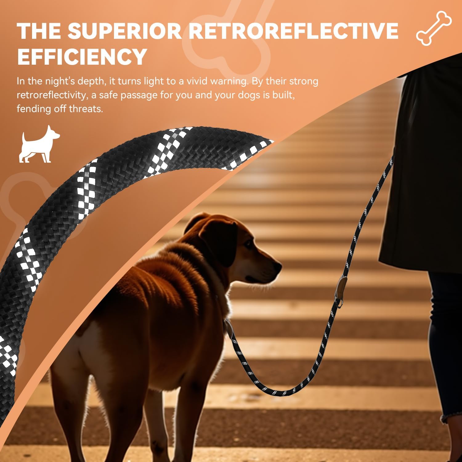 Thumbnail 5 de PETCOOZ Hundeleine 3 m verstellbar 🐕