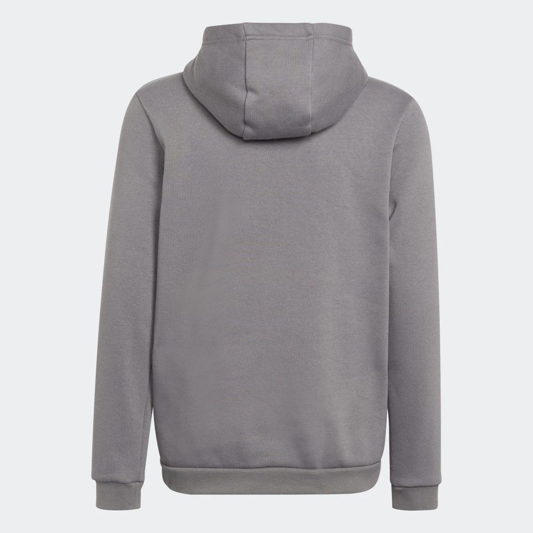 Detalle 2 de Adidas Entrada 22: Sudadera con capucha en gris