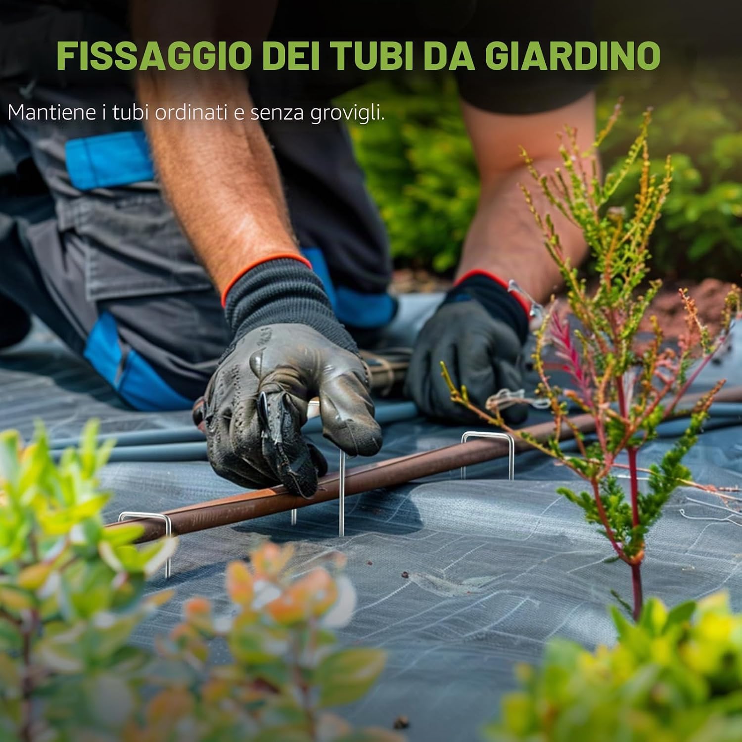 Detalle de Velway Set di 50 Picchetti per Telo Pacciamatura (150x36mm, Ø 3mm) in acciaio zincato – U a testa piatta, antiruggine