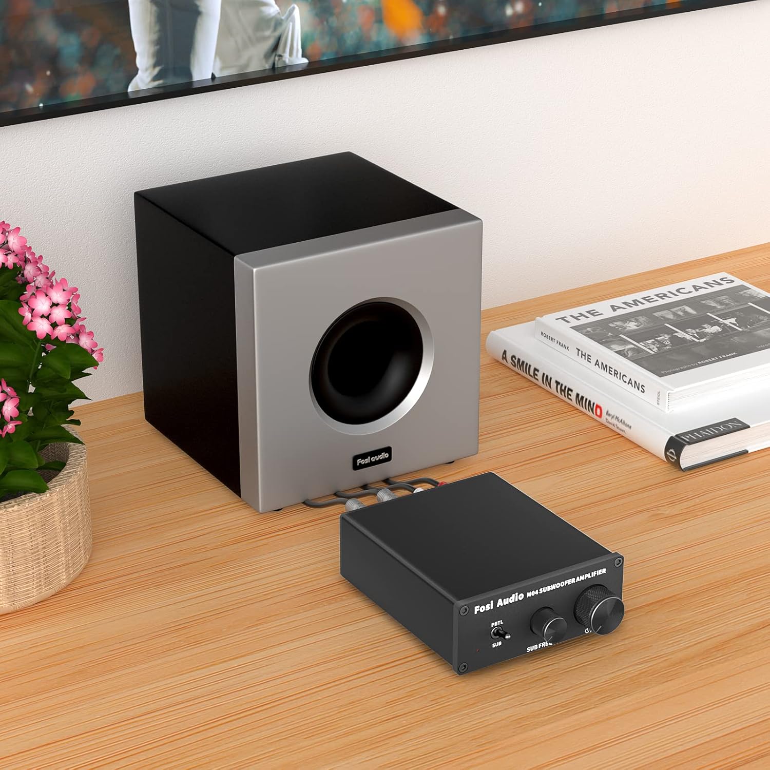 Detalle de Fosi Audio M04 : amplificateur mono de caisson de basses (Classe D, 100 W MAX)
