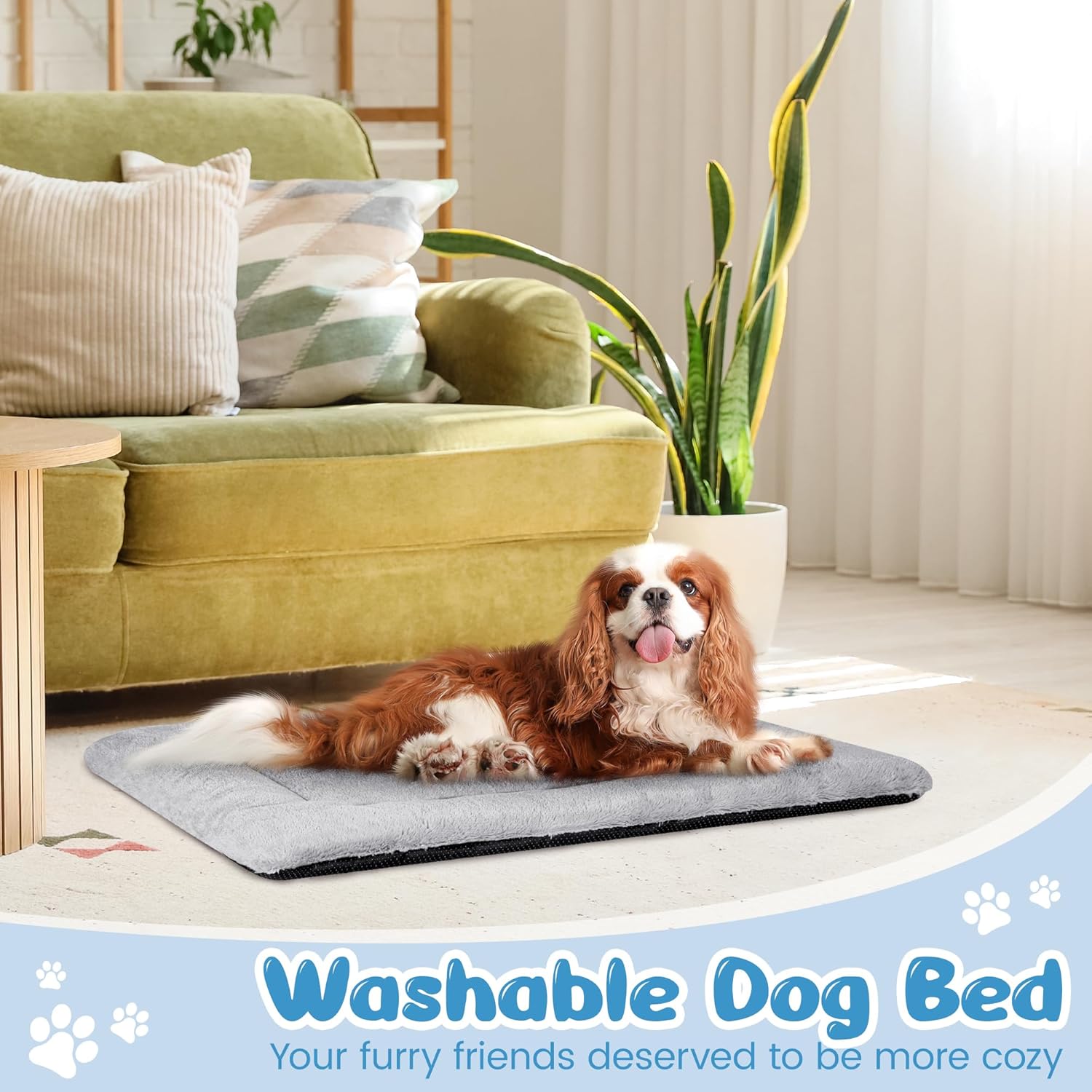Thumbnail 6 de Baodan Dog Bed Large 90x60 cm cushion