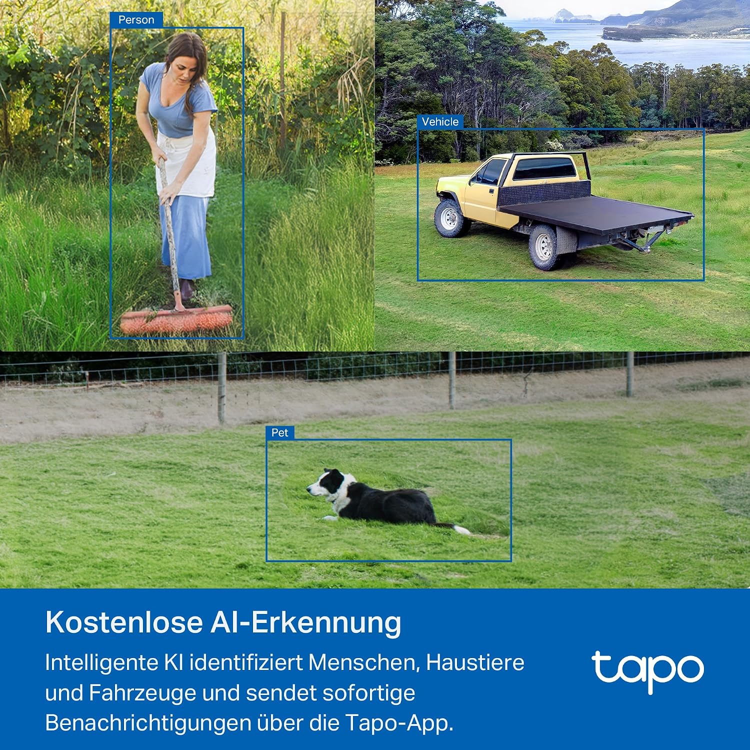 Thumbnail 6 de Tapo C501GW – 360° 4G LTE Außenkamera mit SIM-Slot, Starlight-Nachtsicht und AI-Erkennung
