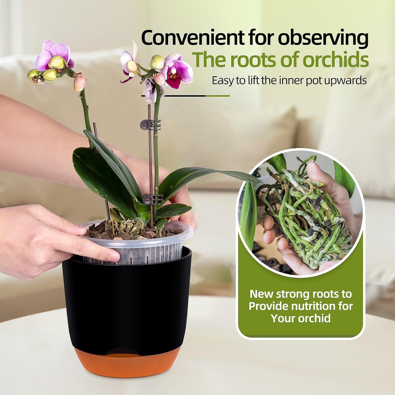 Thumbnail 2 de QCQHDU 2 Pack orchid pots 5.8 inch