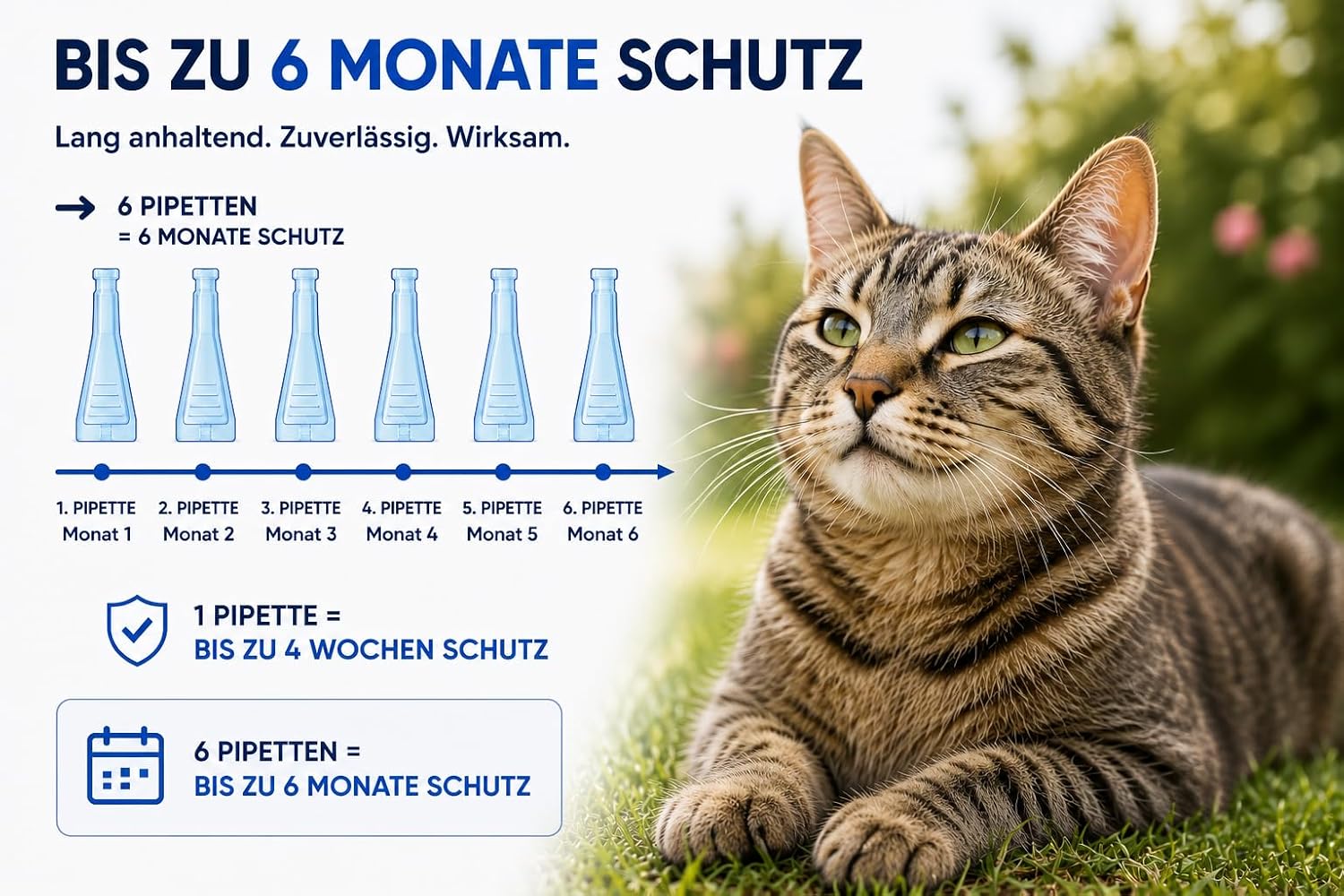 Detalle de Animal Vita Spot On Natürlicher Zeckenschutz für Katzen – 6 Monate zuverlässiger Schutz