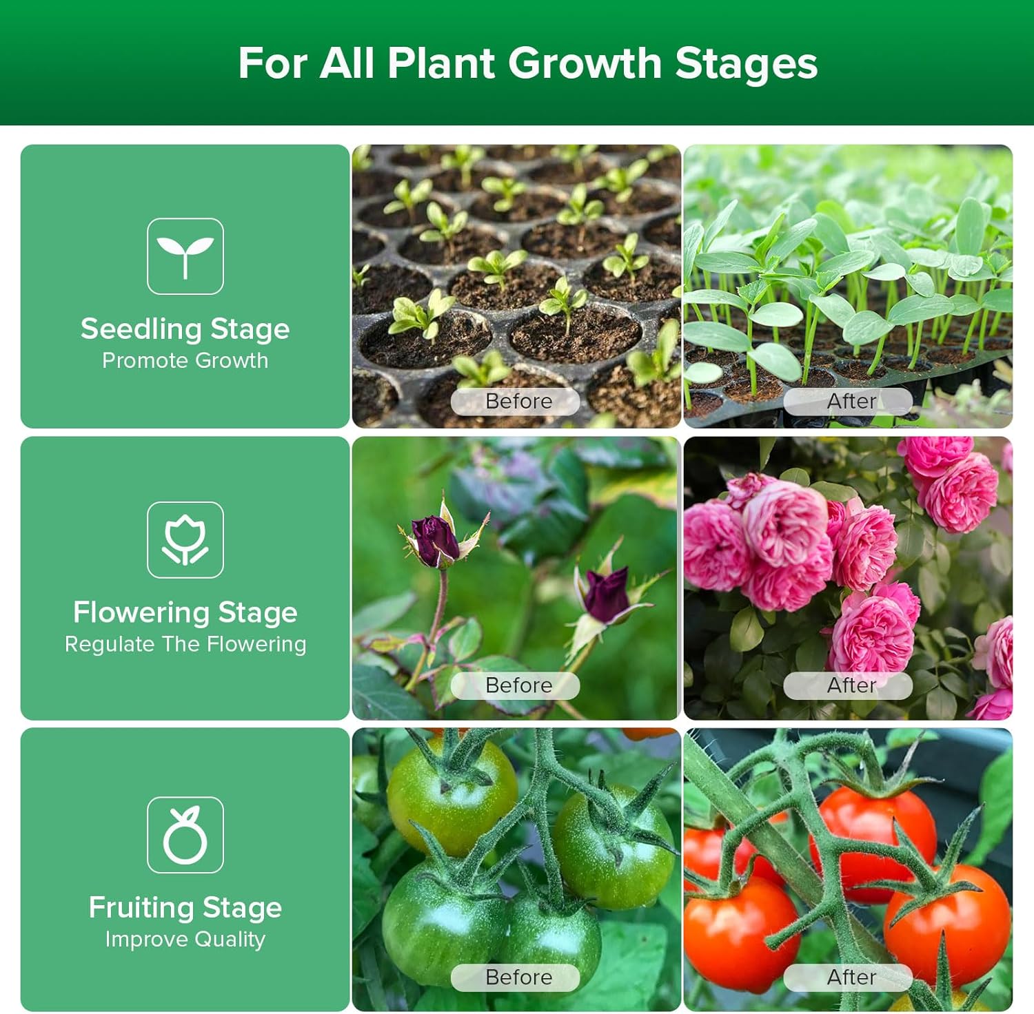 Thumbnail 6 de SANSI Lampara LED de Cultivo 🌱 E27 12W Impermeable