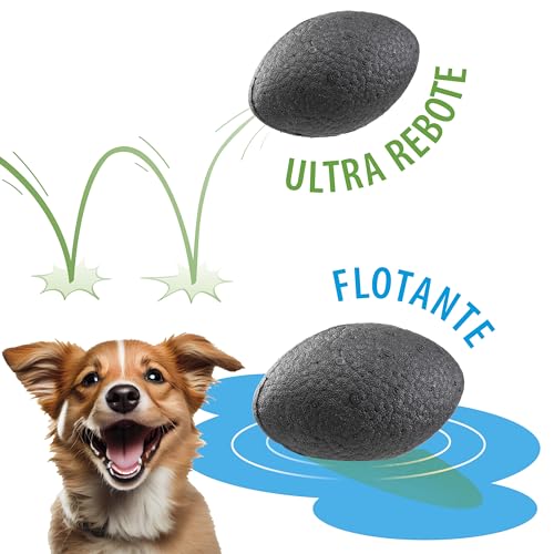 Detalle 2 de Ferplast CHEWA BOING RUGBY Size M dog toy