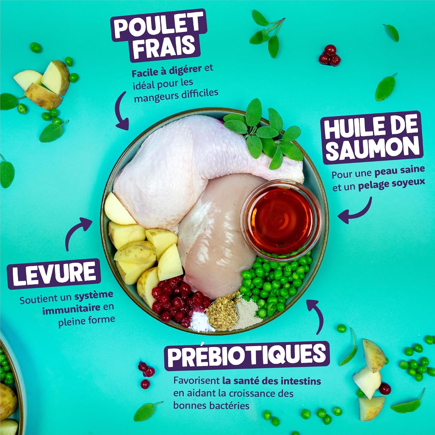 Thumbnail 2 de Edgard & Cooper Croquettes Chat Stérilisé Adulte Poulet 4kg — Sans Céréales, Viande Fraîche