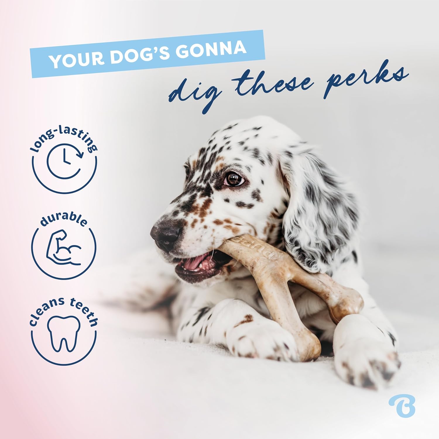 Detalle 2 de Benebone Puppy 2-Pack Rubber Bone/Wishbone Tiny – Jouets à mâcher pour chiots teething