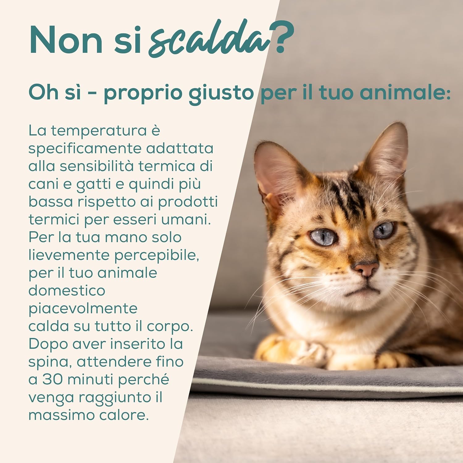 Detalle 2 de Beurer Love Your Pet Lilli tappetino riscaldante S 41x34 cm