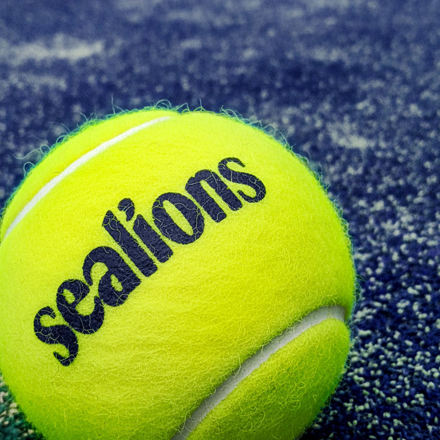 Detalle de Sea Lions Pro Padel Championship padel balls (tube of 3) for match & training