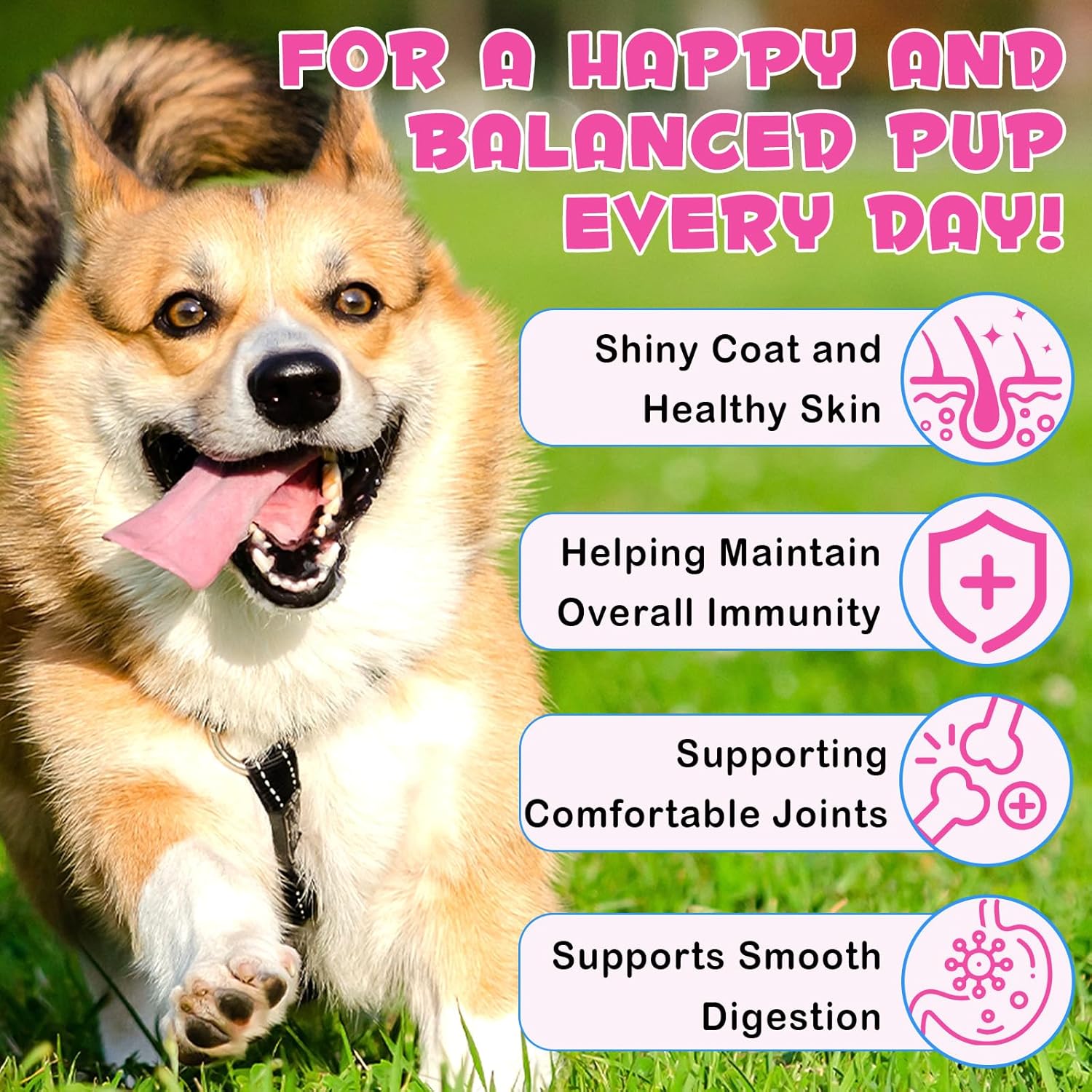 Detalle 2 de Collagene per cani 60 ml