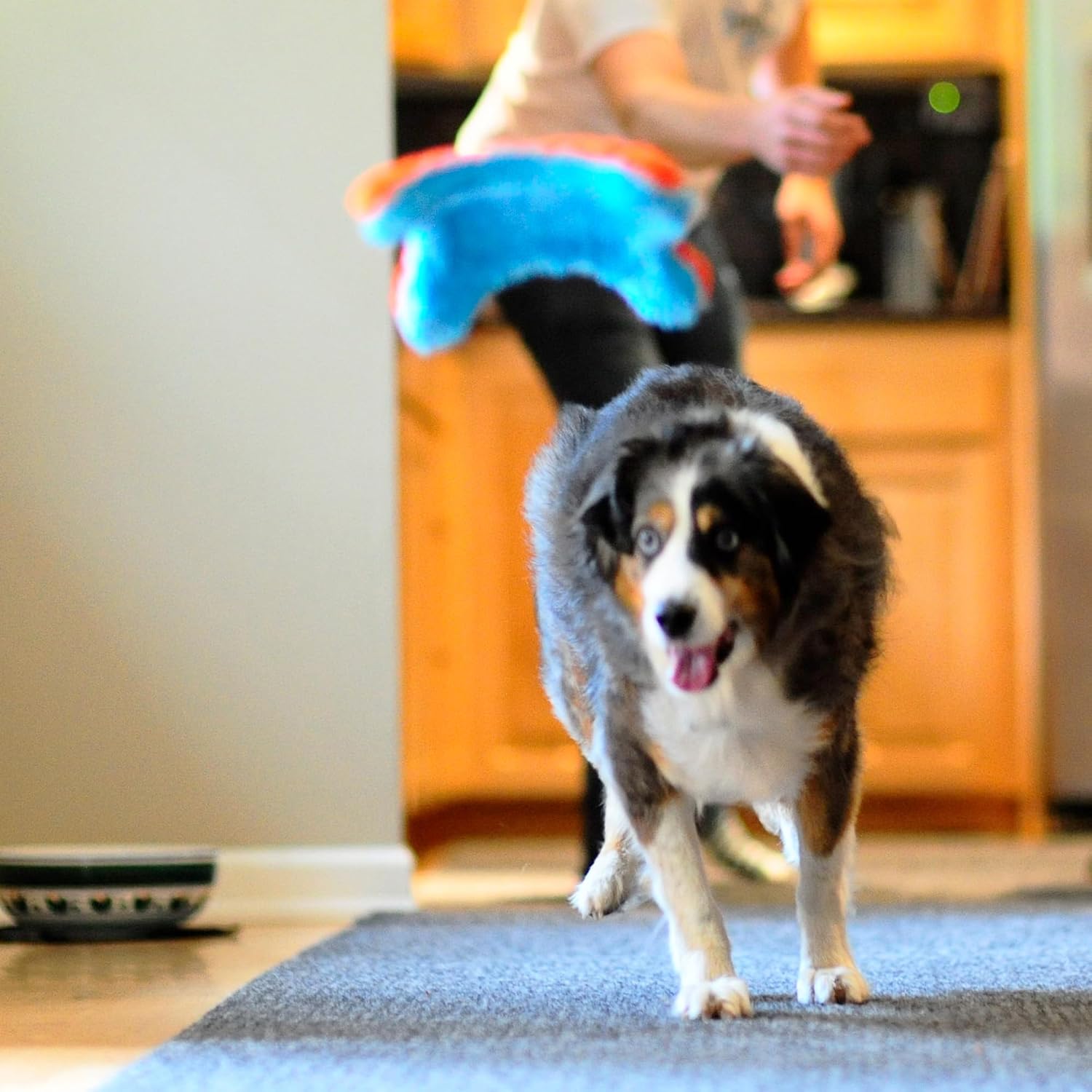 Detalle 1 de Chuckit Indoor Squirrel jouet pour chien