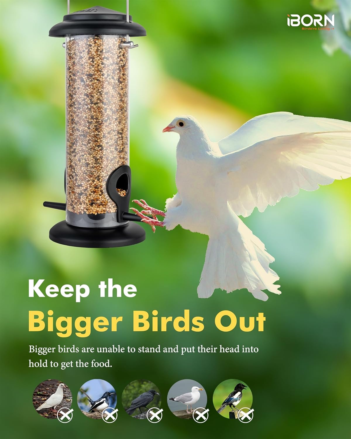 Thumbnail 3 de iBorn Metal Bird Feeder 8 Inch