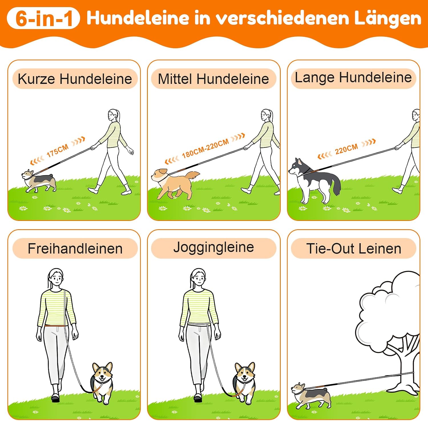Thumbnail 5 de X XBEN Freihandleine Große Hunde