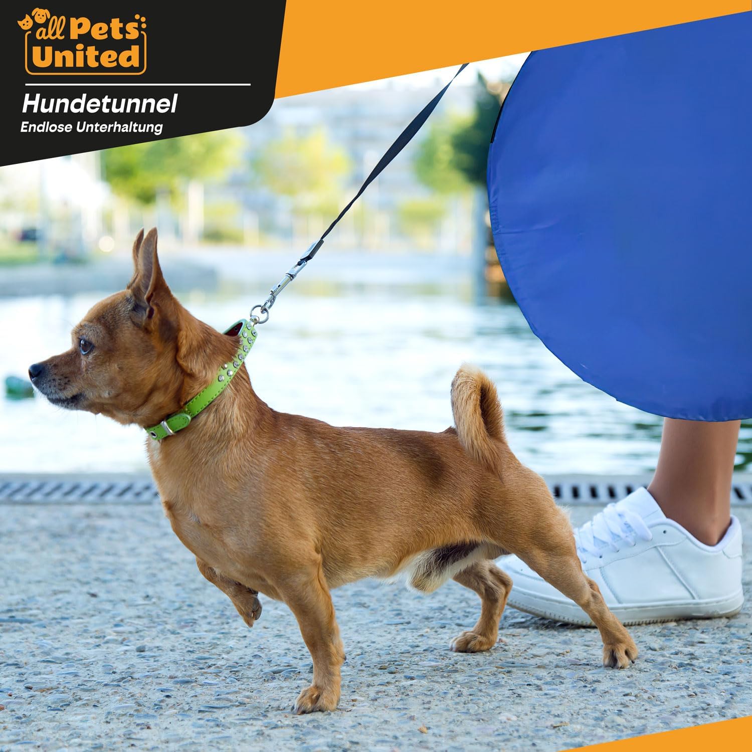 Thumbnail 4 de GOODS+GADGETS Tunnel d’agilité pour chien (200 cm) avec patères et sac de transport