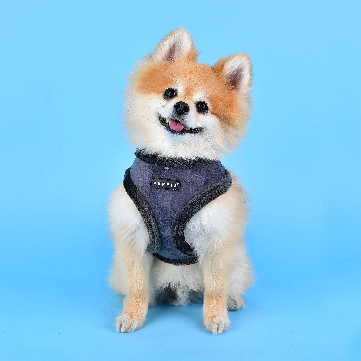 Detalle 2 de Puppia Terry – szelki piersiowe dla psa, S, szare, w paski