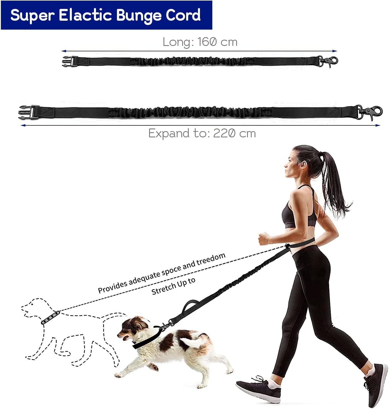 Detalle 2 de Edipets Dog Running Lead 160–220 cm 🐕
