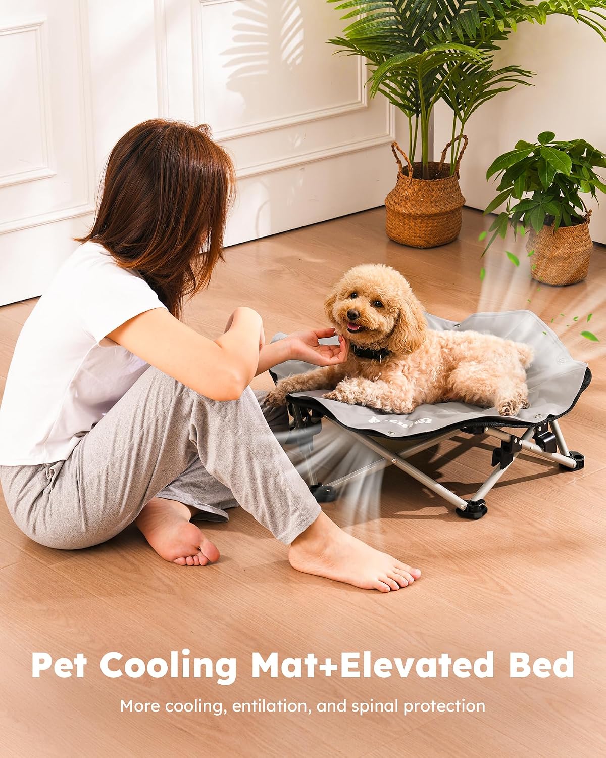 Detalle de pecute Dog Cooling Mat on Elevated Dog Bed — 3-Sec Pop-Up Raised Bed, Outdoor Cooling for Dogs