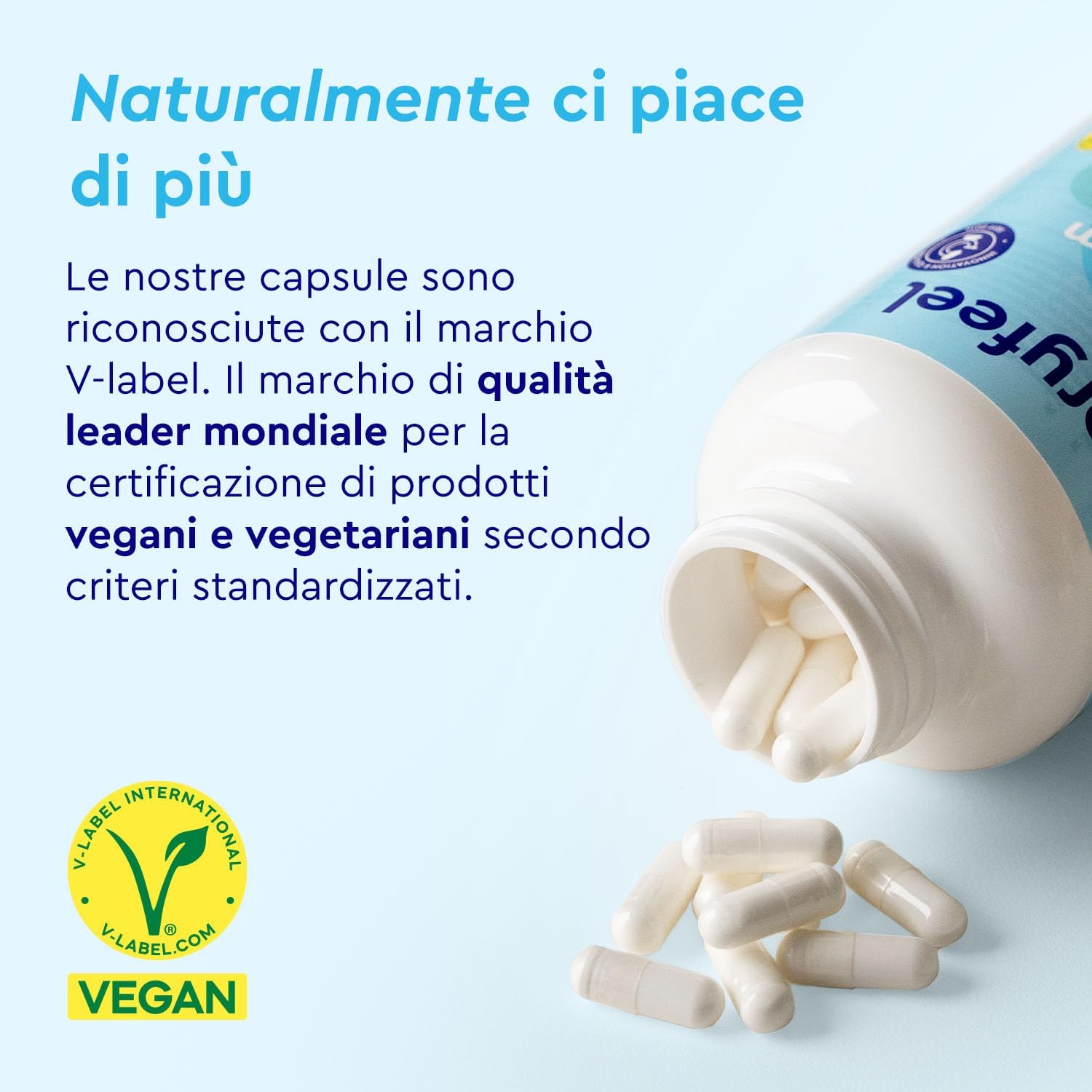 Detalle 2 de Magnesio Completo 400 mg (Premium 5 in 1) – 365 capsule – bisglicinato, citrato, ossido, malato e ascorbato