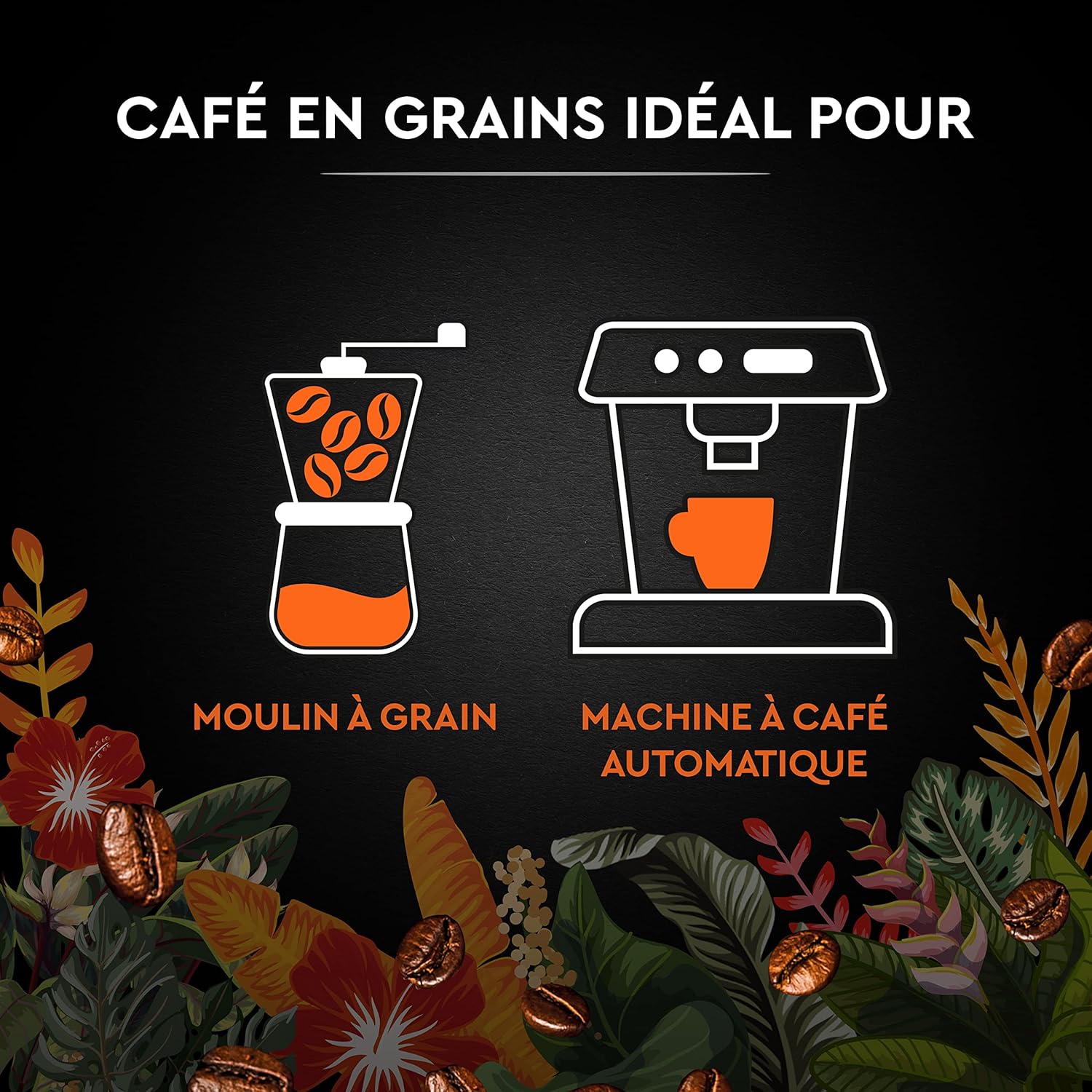 Thumbnail 6 de CARTE NOIRE Secrets de Nature – Café en grains Catuai Romex, Rainforest Alliance, paquet 1 kg
