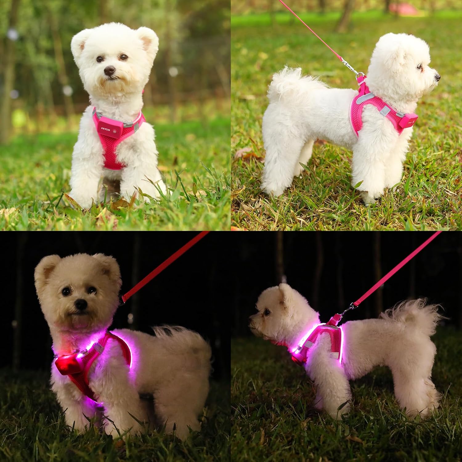 Thumbnail 5 de Feycig Leuchtendes Hundegeschirr LED Medium