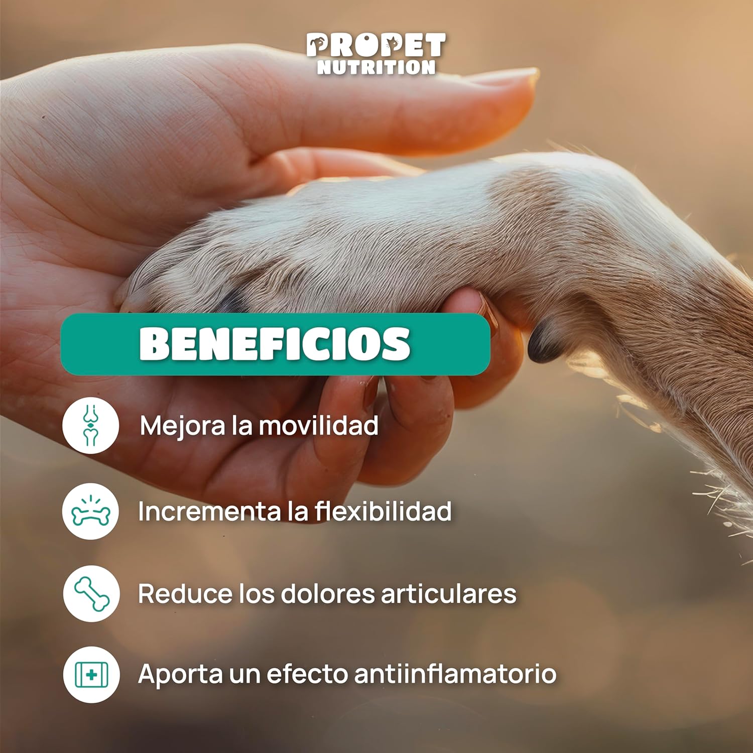 Detalle 2 de Condroprotector Perros 120 Masticables