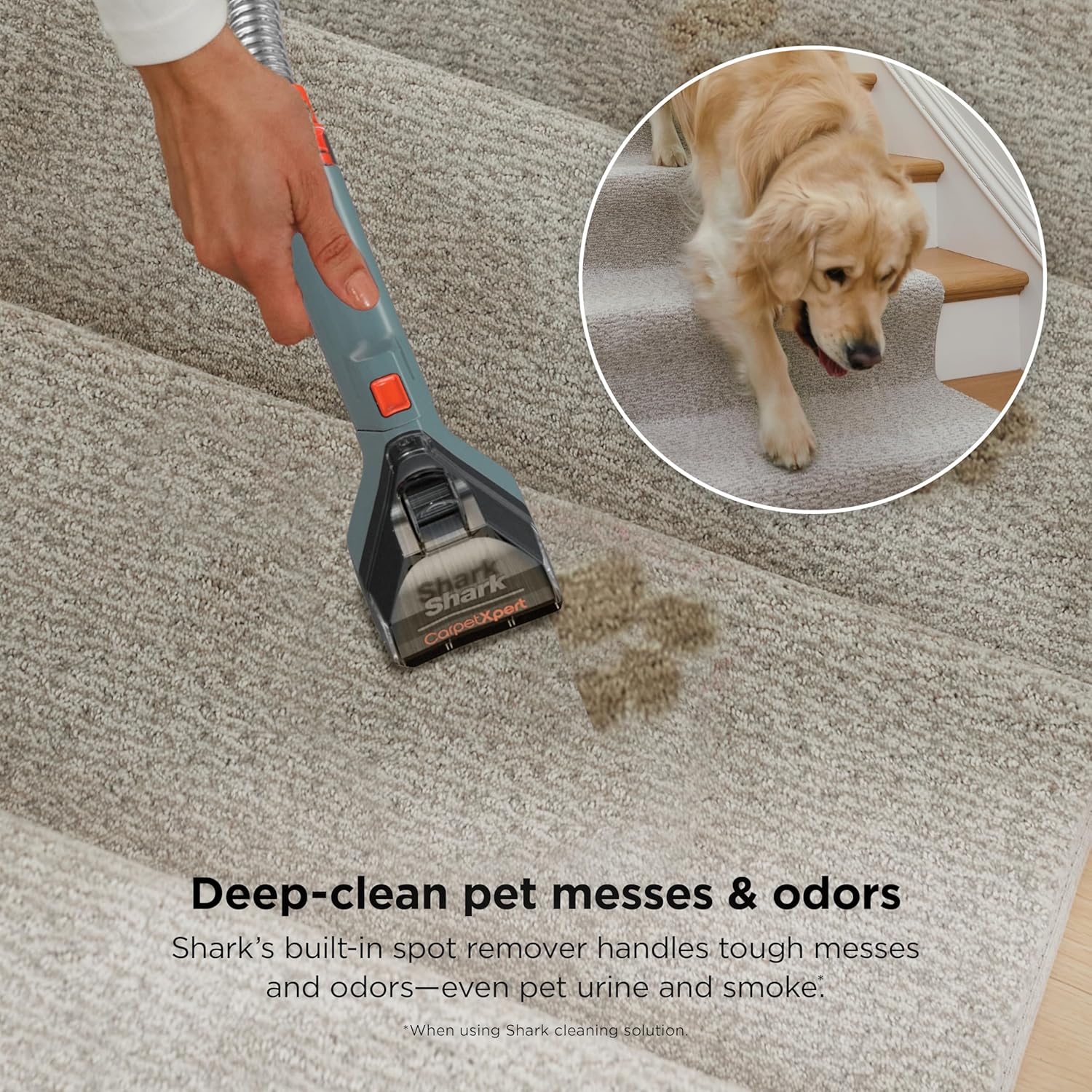 Thumbnail 4 de Shark CarpetXpert EX151 Carpet Cleaner