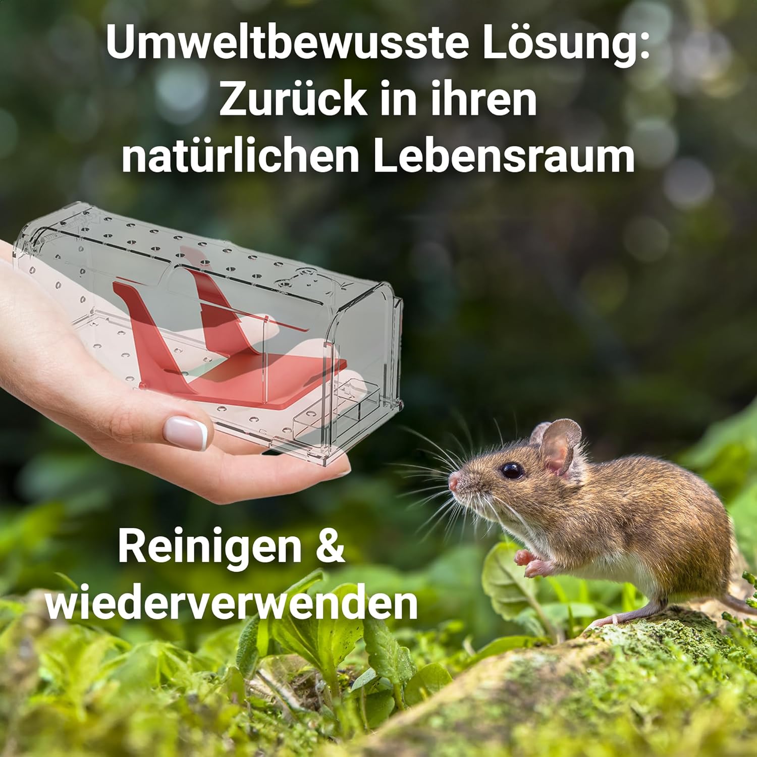 Detalle de Roshield 2 x Mausefalle Lebend – Humane, wiederverwendbare Fallen für Innen und Außen