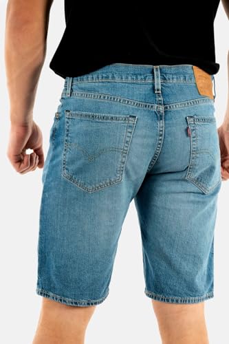 Detalle de Levi's 405 Standard Shorts Pantalones Cortos para Hombre (Punch Line Real Calling Short, 29W)