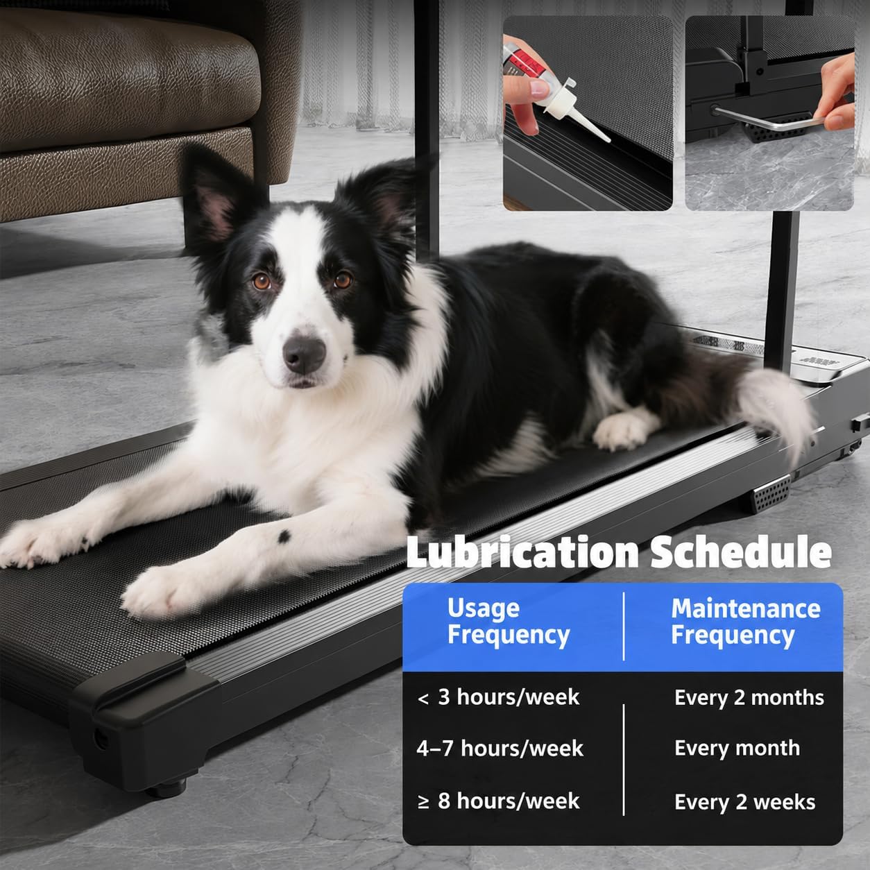 Thumbnail 2 de Chlorythm Walking Pad Treadmill with Handrail, Remote and 1–4 MPH Speed
