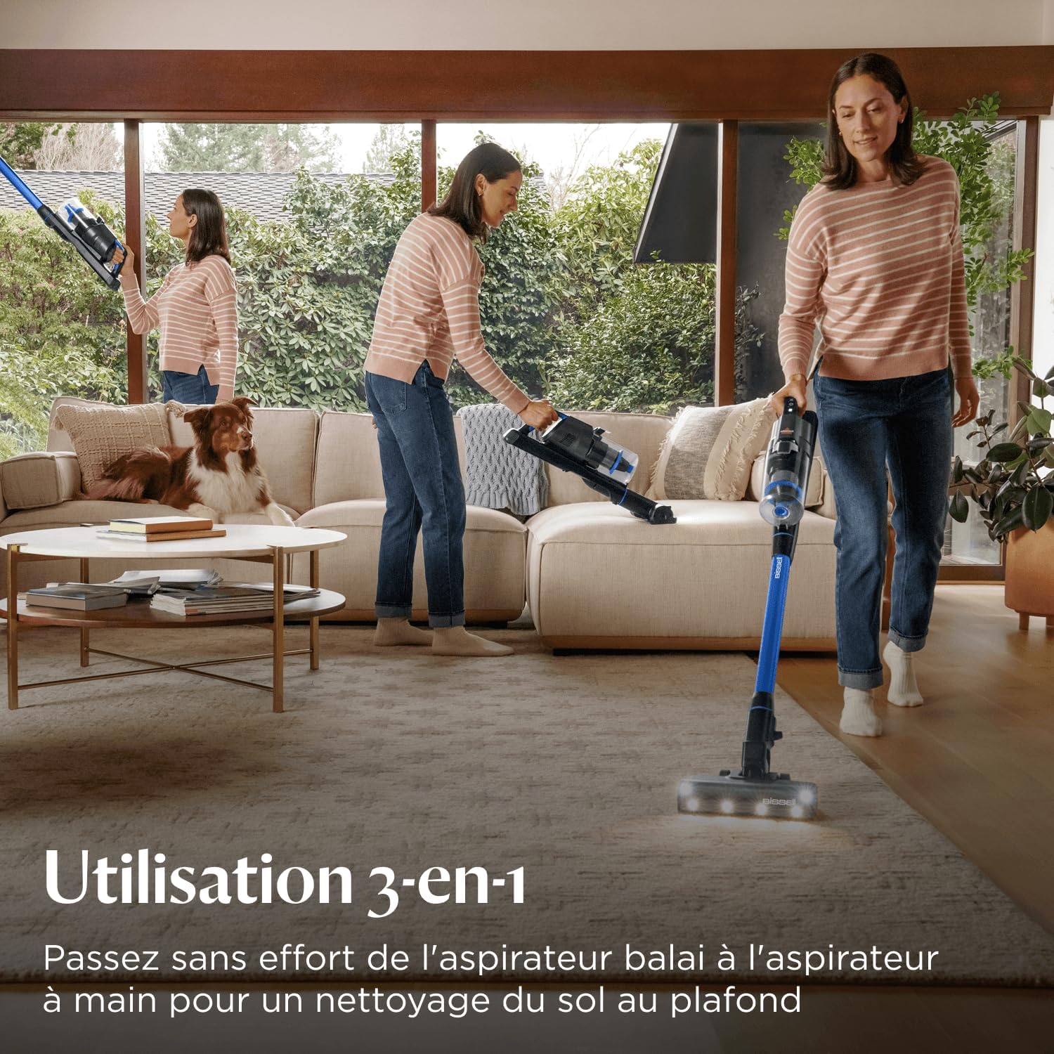 Detalle 2 de Bissell FurFinder PowerClean Aspirateur Balai