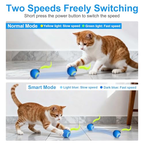 Detalle de Juguete Interactivo Gato Pelota Speedy Tail 2.0 de Kinizuxi (Azul) – Bola rodante recargable para gatos