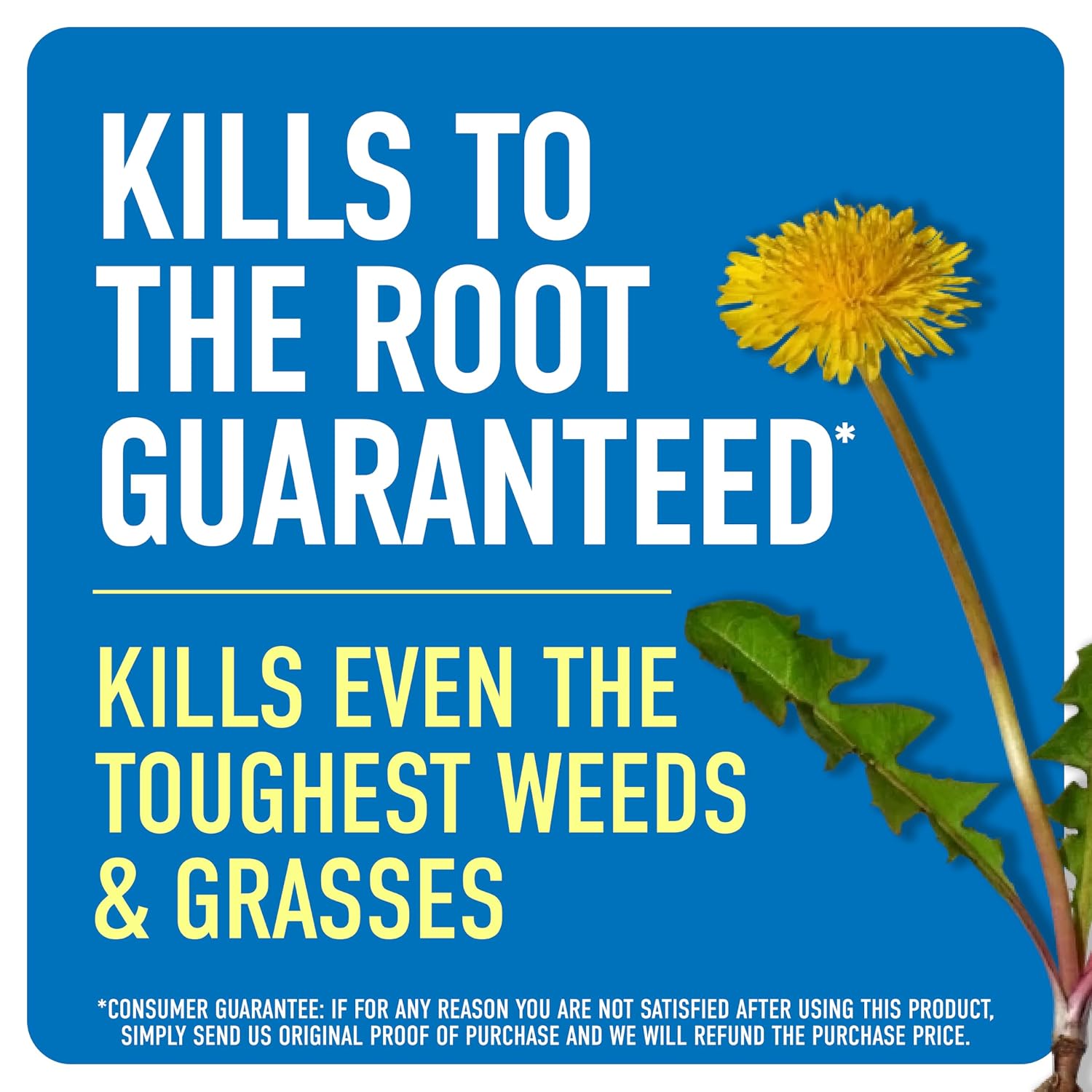 Thumbnail 1 de Roundup Weed & Grass Killer4 with Pump 'N Go 2 Sprayer, 1.33 gal