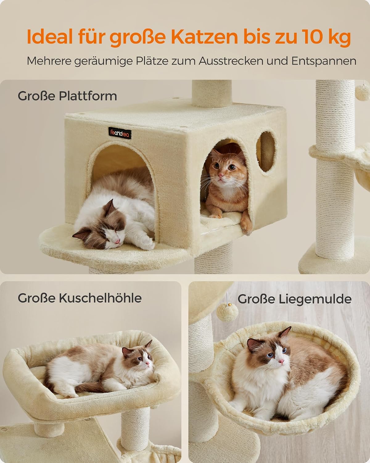 Thumbnail 2 de Feandrea PCT01W Kratzbaum XXL für große Katzen 🐱