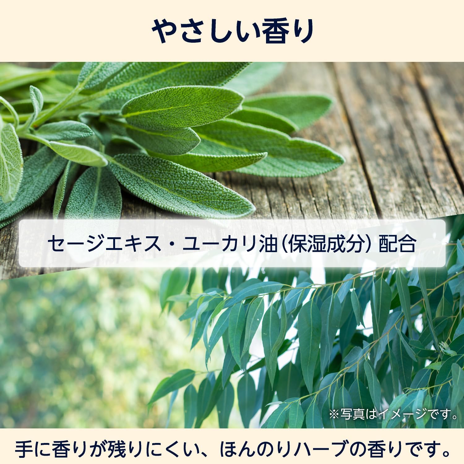 Detalle de by Amazon 薬用泡のハンドソープ 1400mL 日本製・泡ポンプ用詰め替え