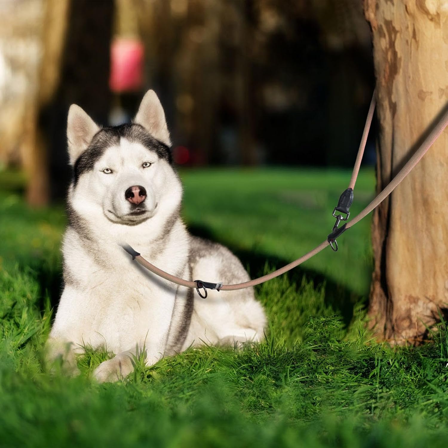 Detalle de Wolfone Doppelendig, handfreie Seil-Hundeleine einstellbar (2,1 m) – für große, mittlere & kleine Hunde