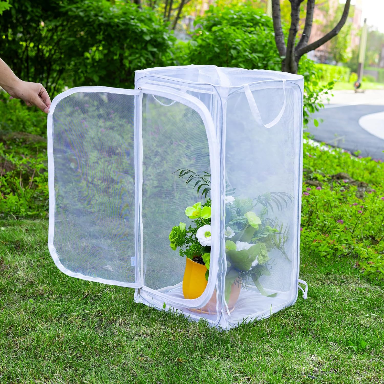 Detalle 2 de Large 30" Monarch Butterfly Cage 🦋