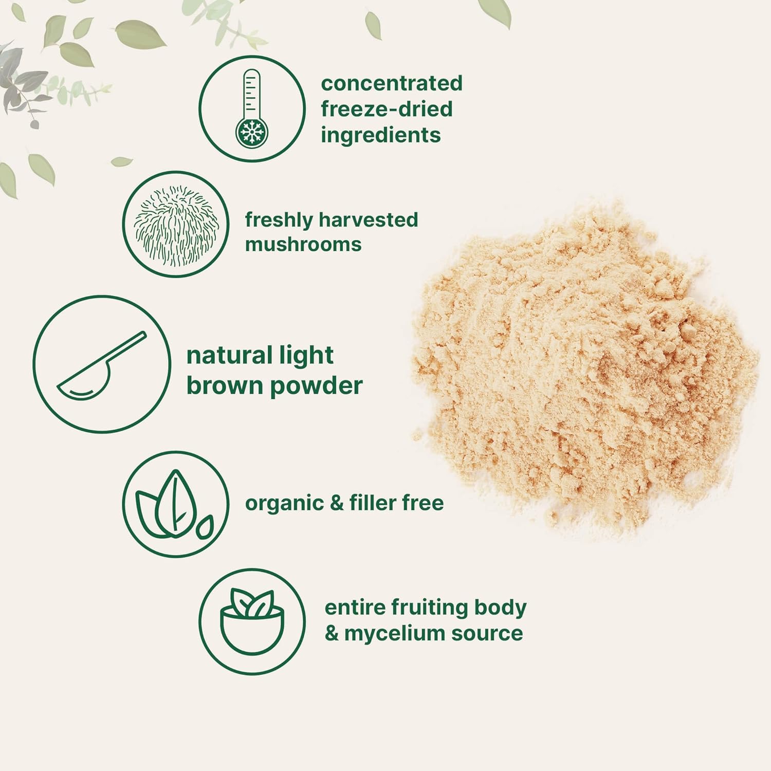 Detalle de Micro Ingredients Lion’s Mane Mushroom Powder 16 oz
