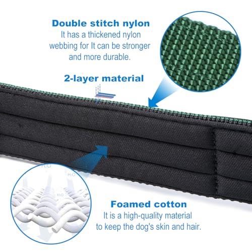 Detalle 1 de TSPRO Collar táctico ajustable 3,8 cm para perros