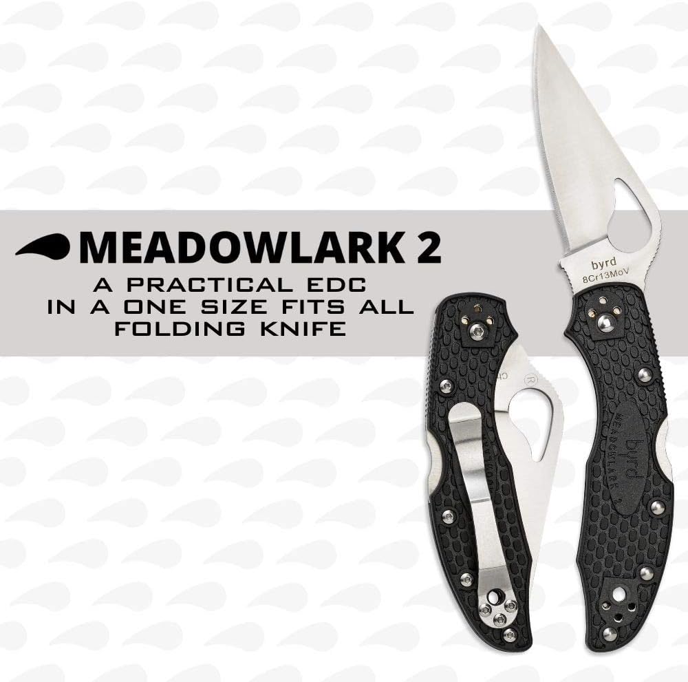 Detalle 2 de Spyderco Byrd Meadowlark 2 BY04PBK2 vouwmes met glad lemmet