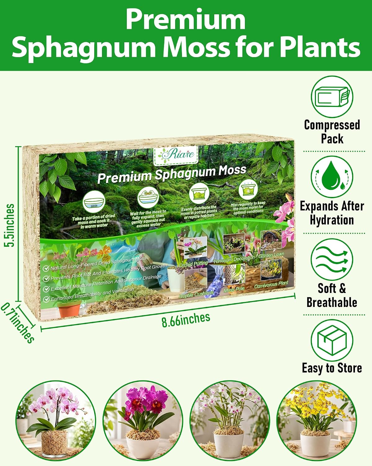 Detalle de Riare Natürliche Terrarium Moos 5.3 oz Sphagnum Moss, Long-Fibre Block