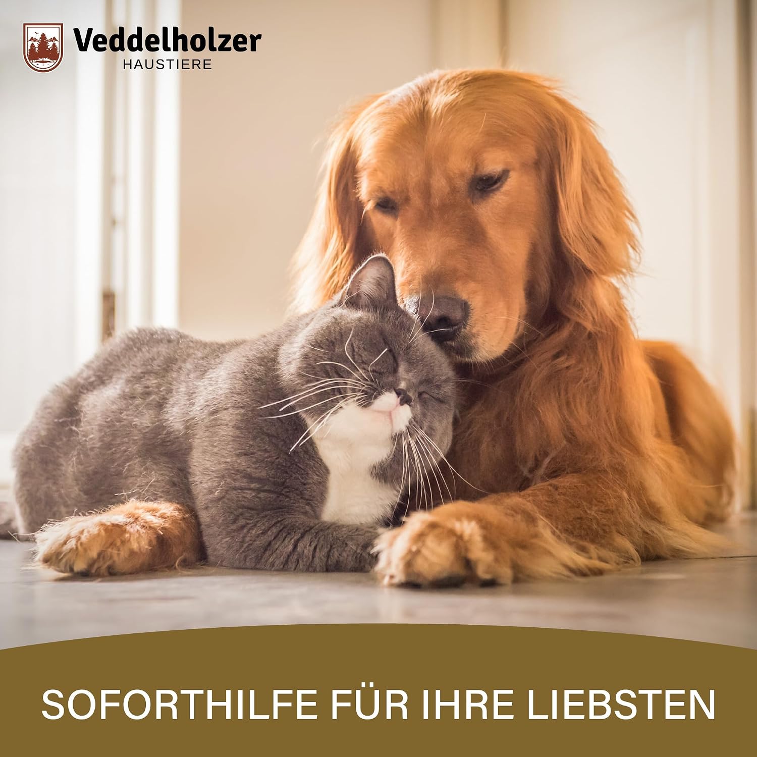 Thumbnail 6 de Veddelholzer 50 Diarrhoe Kautabletten – Diät-Ergänzungsmittel für Hunde & Katzen mit Präbiotika & pflanzlichen Inhaltsstoffen