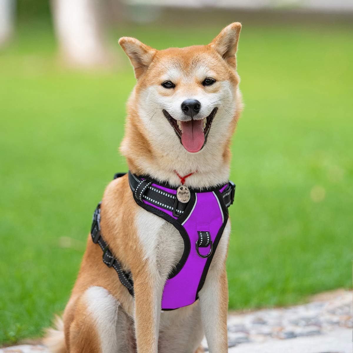 Thumbnail 1 de PoyPet Dog Harness, Large