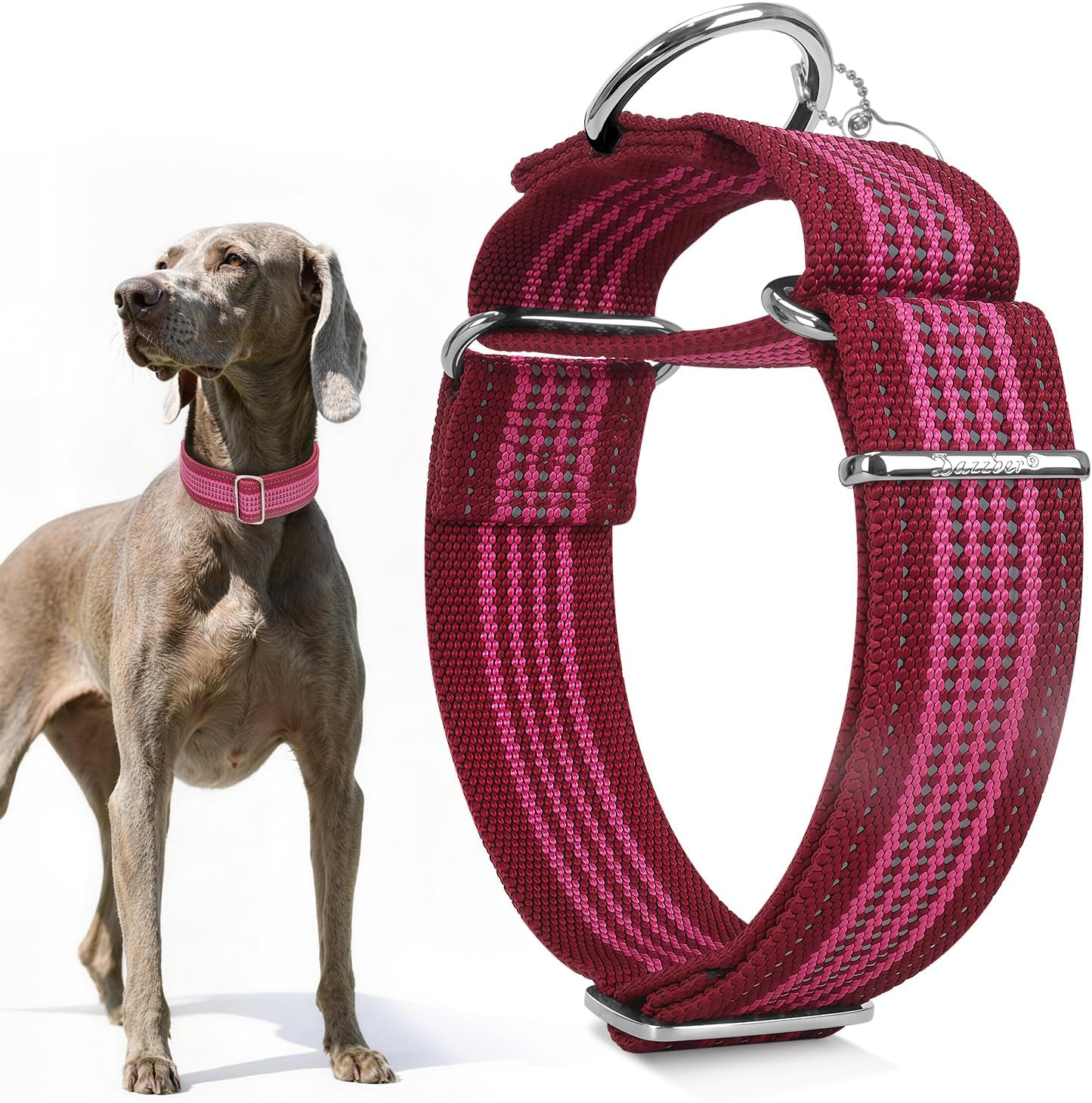 Thumbnail 5 de Dazzber 1.5" Martingale Dog Collar (Escape-Proof, Anti-Slip) – Large, Reflective Nylon in L-Classic Red