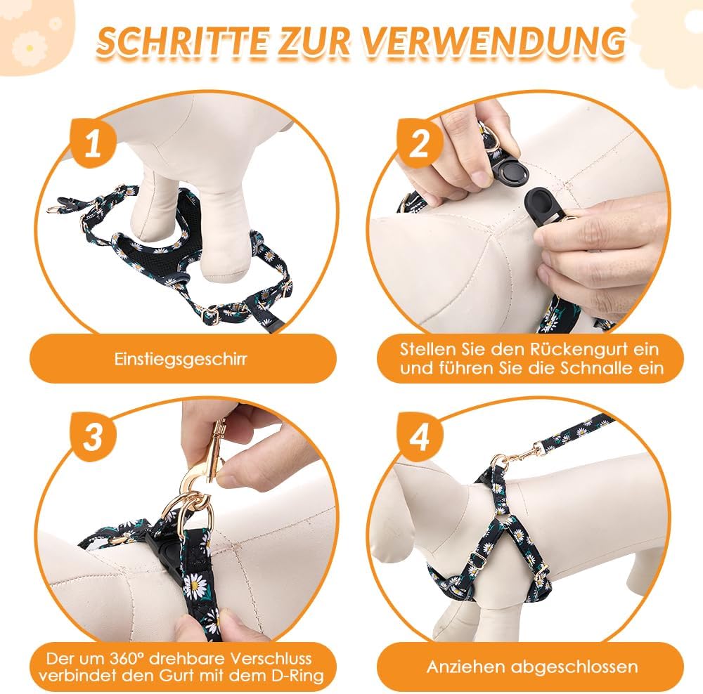 Thumbnail 6 de Eyein Hundegeschirr Kleine Hunde mit Leine – Atmungsaktives Step-in-Brustgeschirr (XXS)