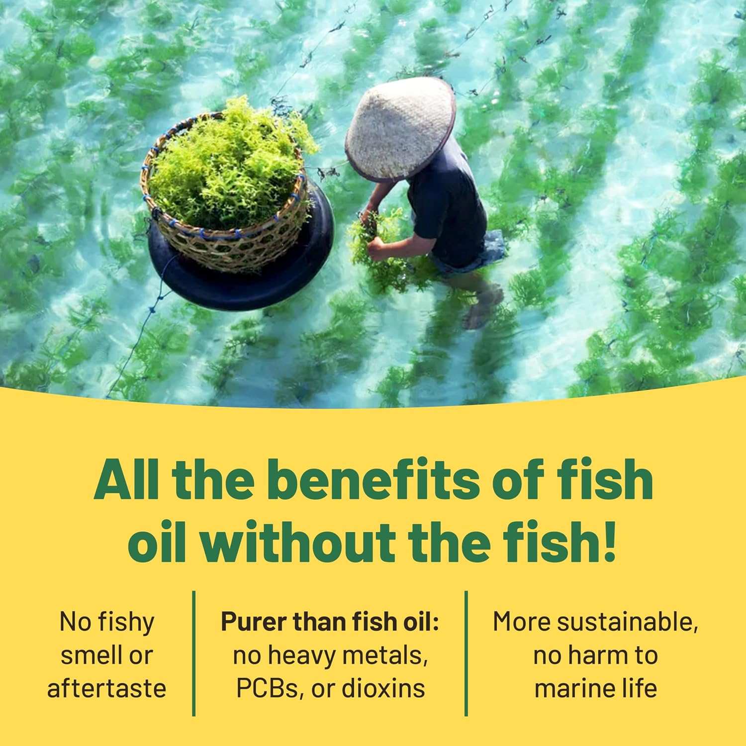 Detalle de Omega 3 Algae Oil 400mg DHA softgels