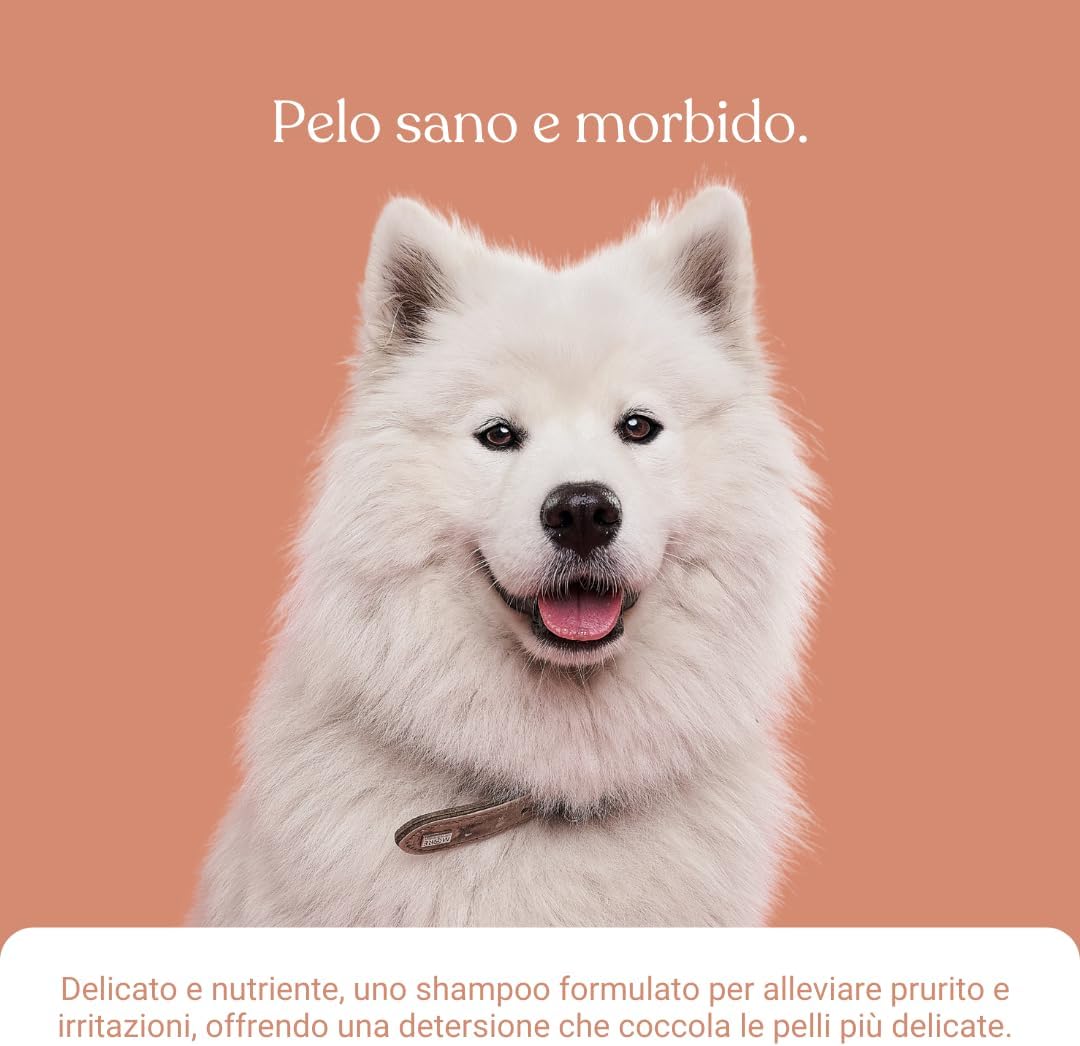 Thumbnail 6 de Bau Cosmesi Shampoo Lenitivo per Cani: sollievo per pelle sensibile con camomilla, calendula e lavanda
