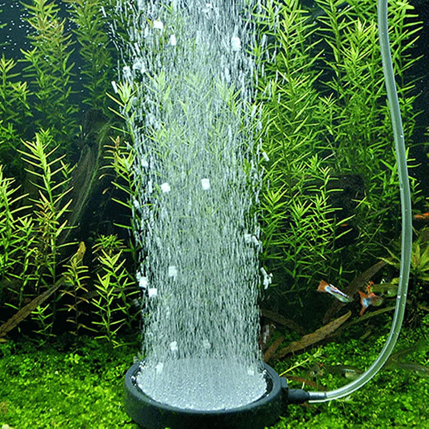 Thumbnail 4 de SHULLIN Ø 10 cm Belüfterscheibe Aquarium