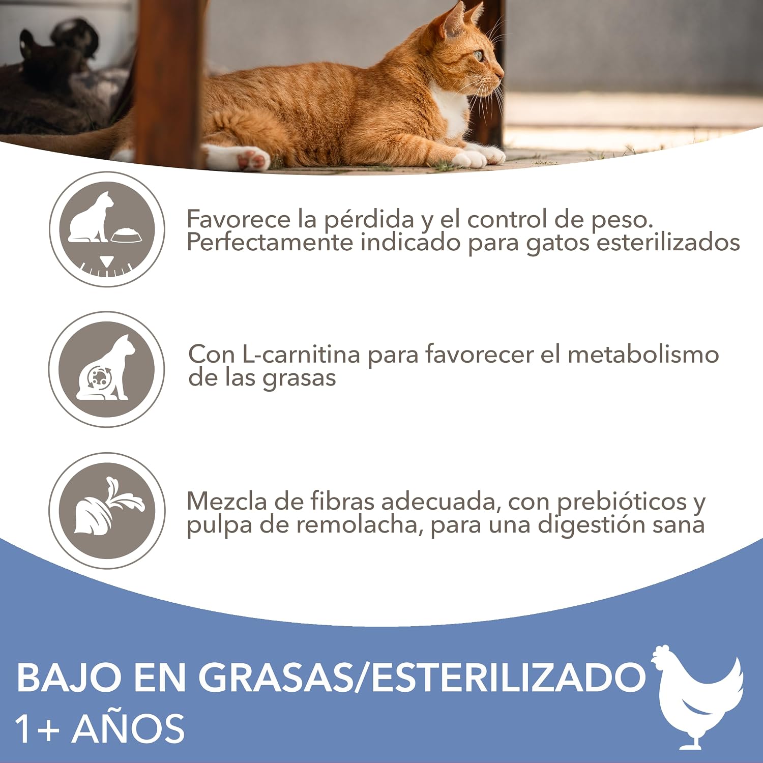 Thumbnail 2 de IAMS Alimento seco para gatos esterilizados con pollo fresco (3 kg)