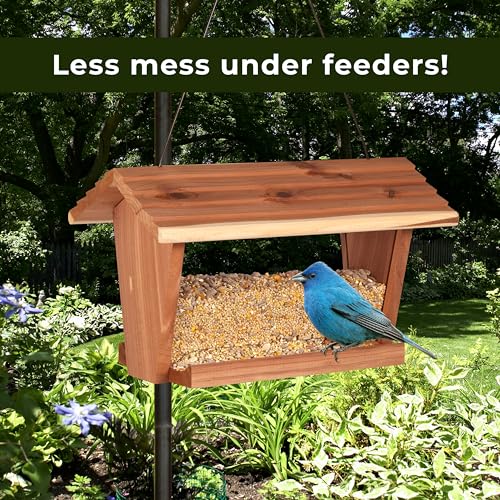 Detalle de Kaytee Wild Bird No Mess Seed Blend for Blue Jays, Woodpeckers, Juncos, Cardinals, Grosbeaks, Sparrows, and Finches (10 lb)